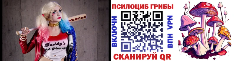Псилоцибиновые грибы мухоморы  blacksprut как войти  Нязепетровск 