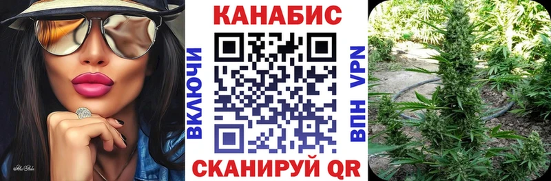 Конопля гибрид  как найти   Нязепетровск 